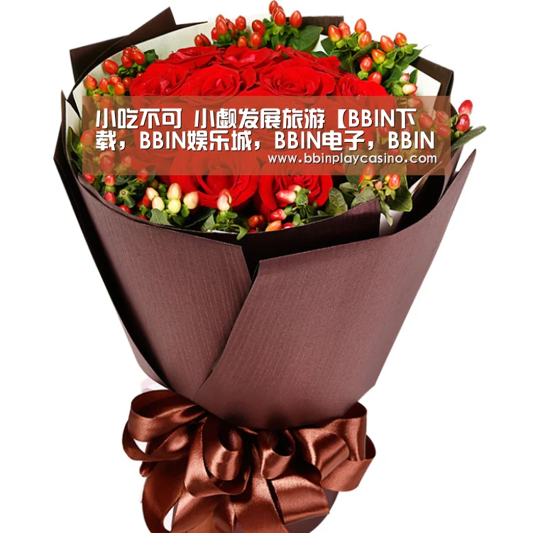 BBIN下载，BBIN娱乐城，BBIN电子，BBIN电竞