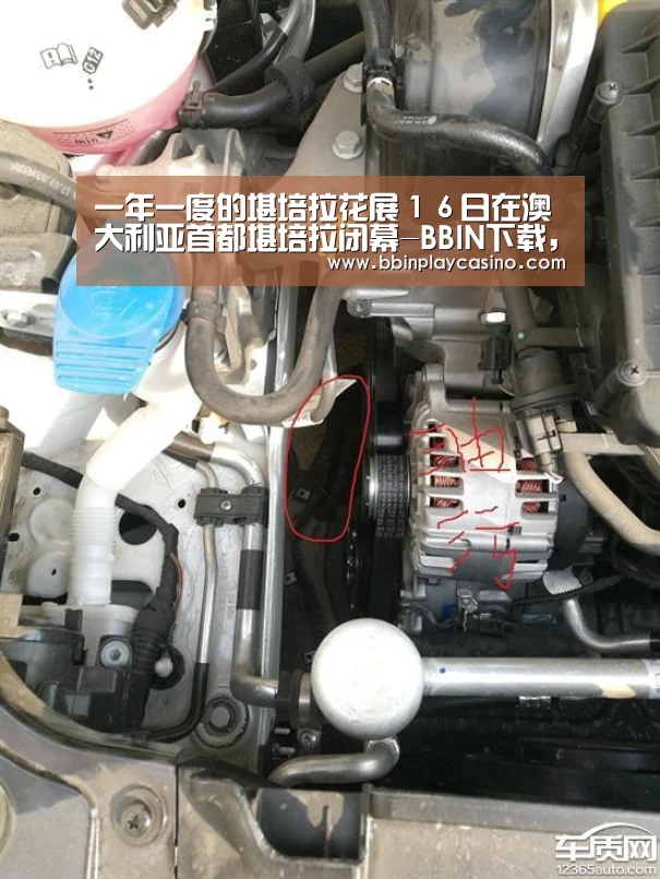 BBIN下载，BBIN娱乐城，BBIN电子，BBIN电竞