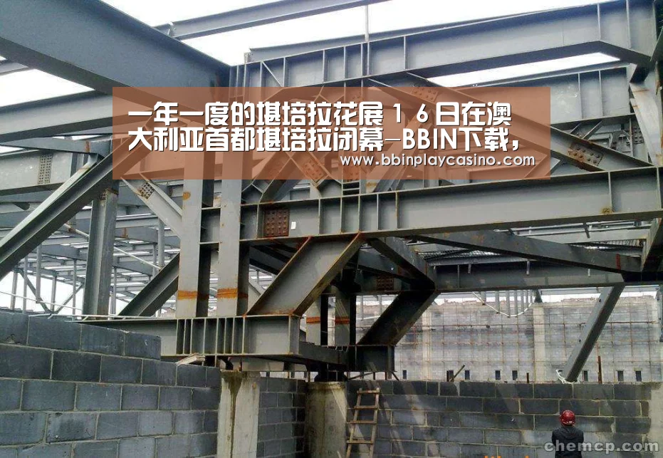 BBIN下载，BBIN娱乐城，BBIN电子，BBIN电竞