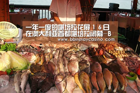 BBIN下载，BBIN娱乐城，BBIN电子，BBIN电竞