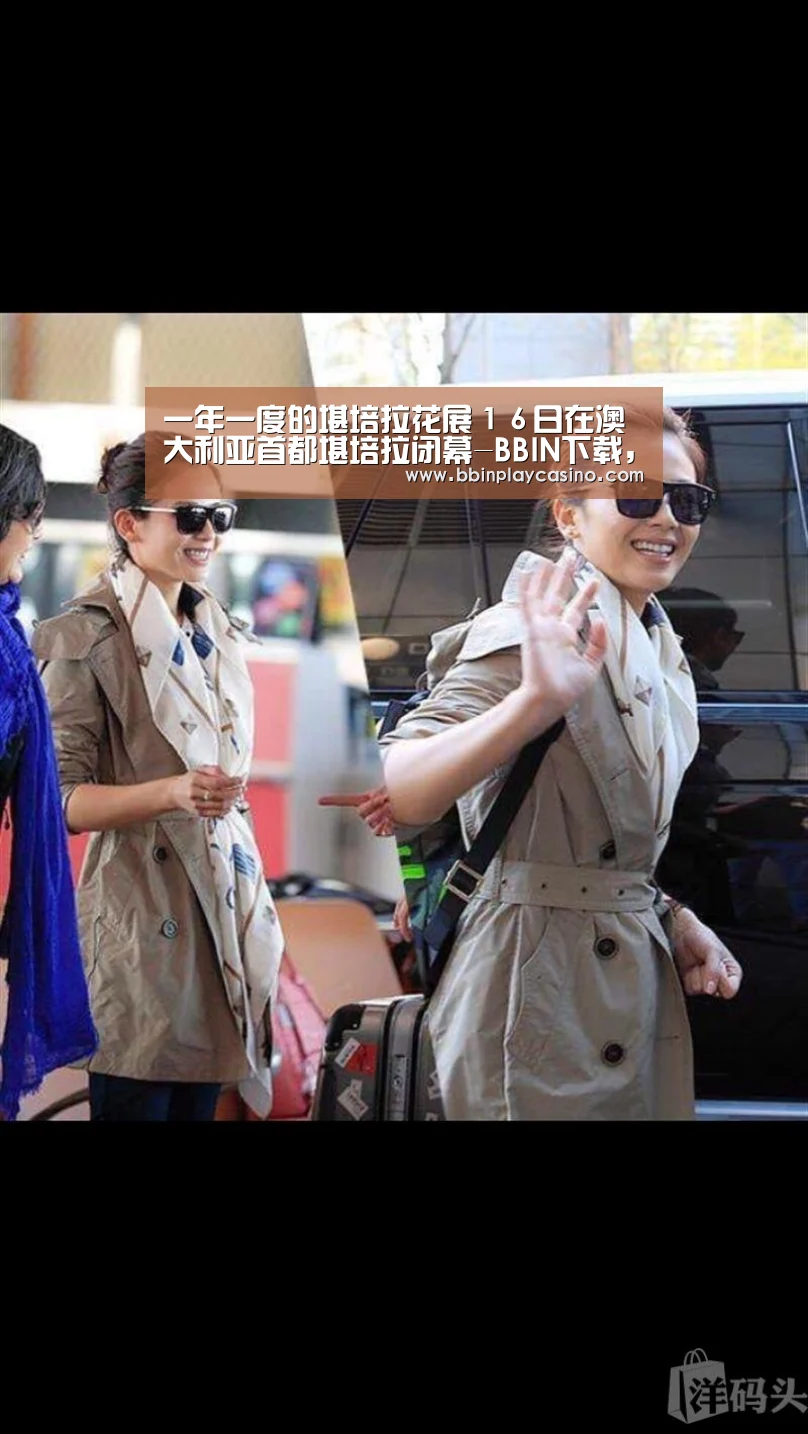 BBIN下载，BBIN娱乐城，BBIN电子，BBIN电竞